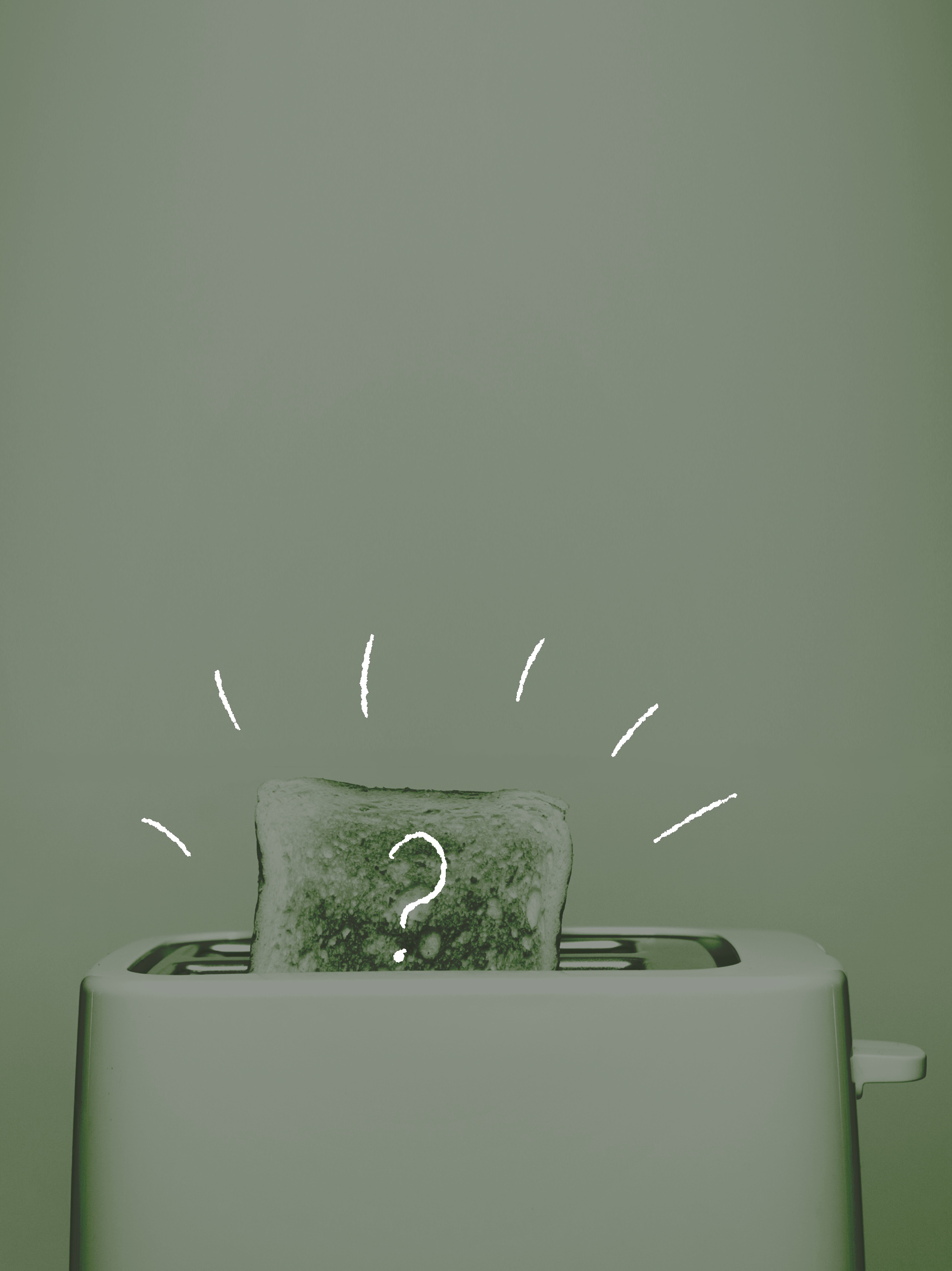 A single slice of toast sitting proud of a white two-slice toaster against a pale grey background.